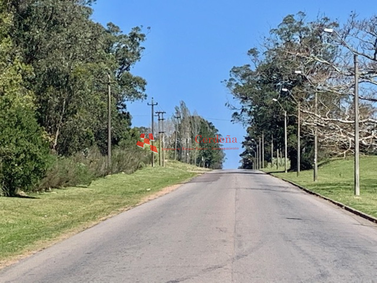 Terreno ID.1166 - VENTA - Tierra en venta para proyecto inmobiliario