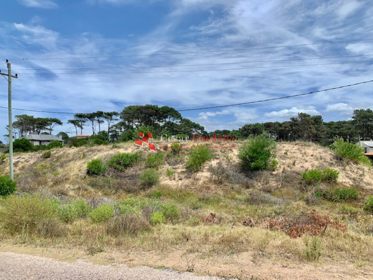Terreno ID.1645 - VENTA - Chihuahua a 200 metros del mar