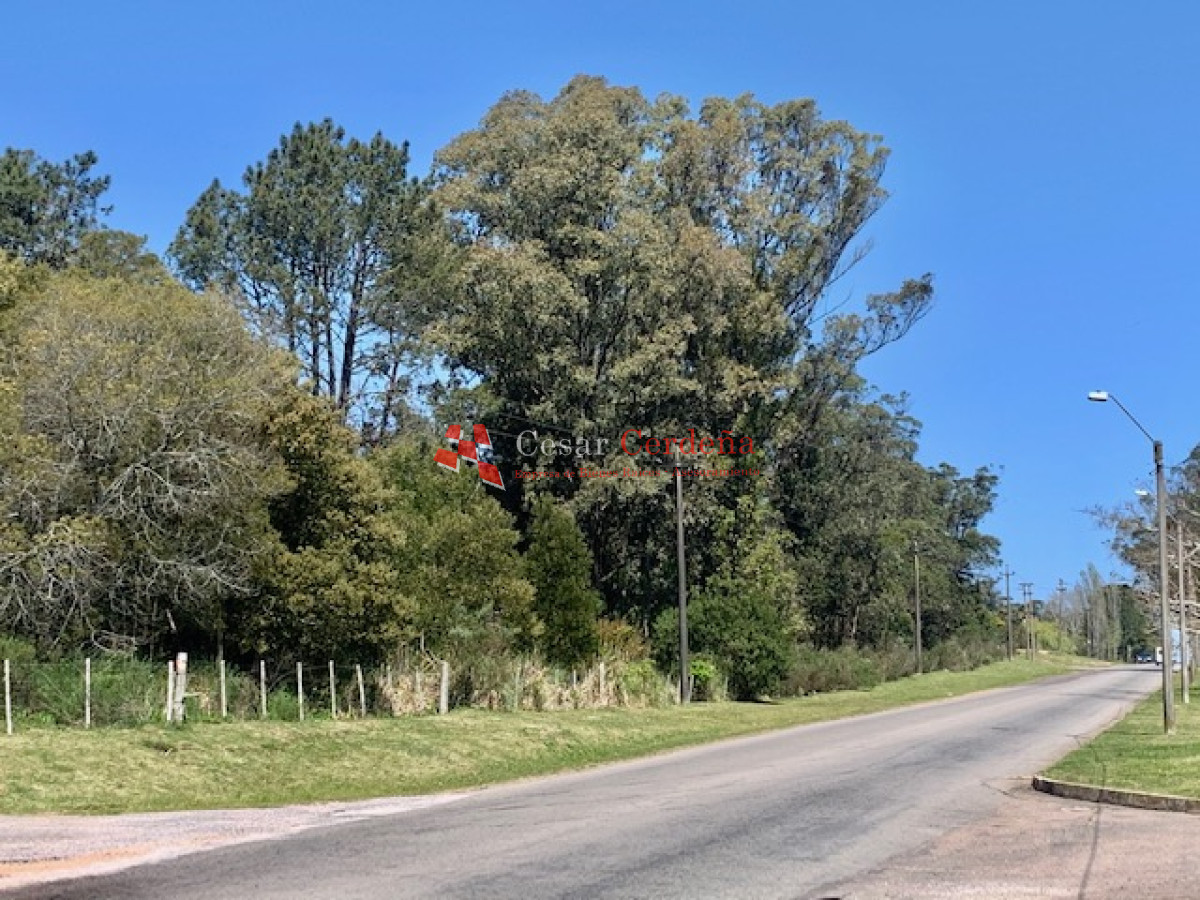 Terreno ID.1166 - VENTA - Tierra en venta para proyecto inmobiliario