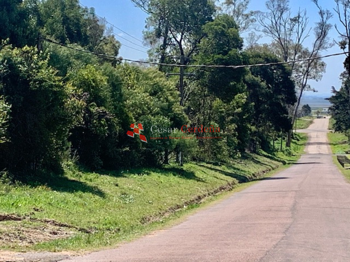 Terreno ID.1166 - VENTA - Tierra en venta para proyecto inmobiliario