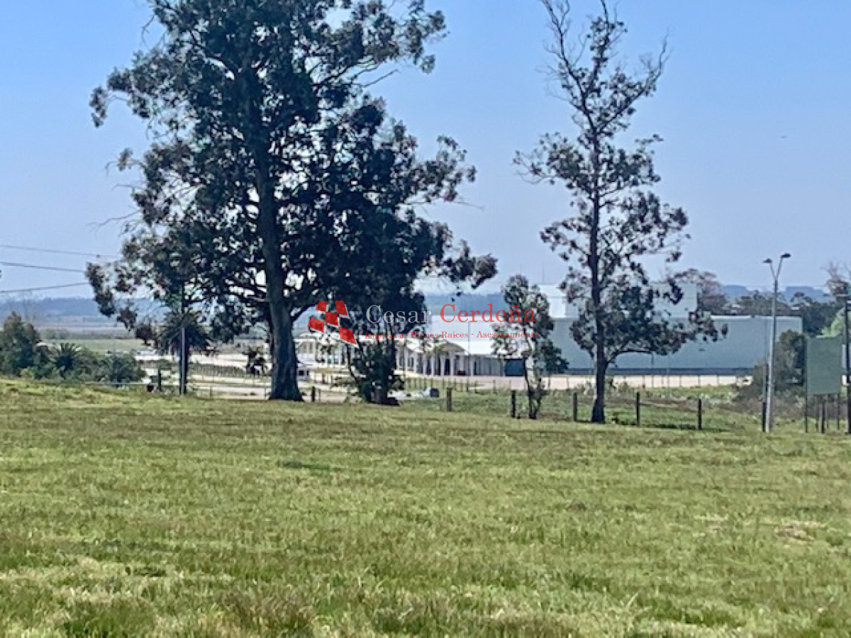 Terreno ID.1166 - VENTA - Tierra en venta para proyecto inmobiliario