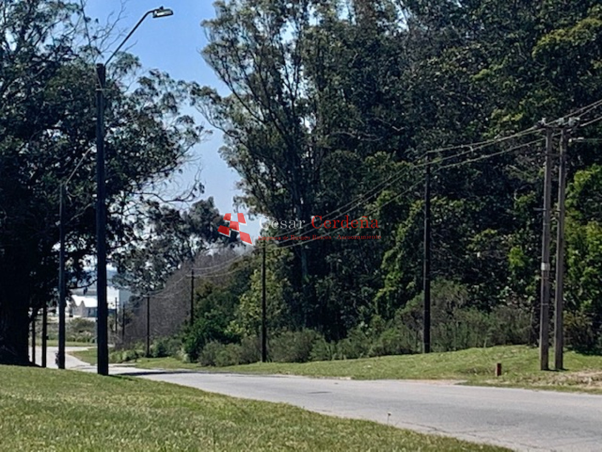 Terreno ID.1166 - VENTA - Tierra en venta para proyecto inmobiliario