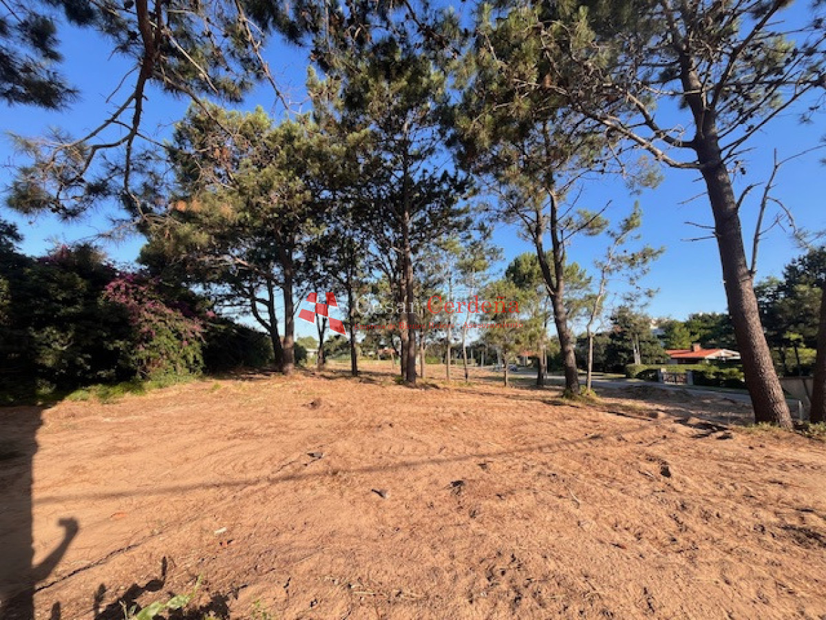 Terreno ID.1961 - VENTA - Terreno en Pinares a metros de la costa