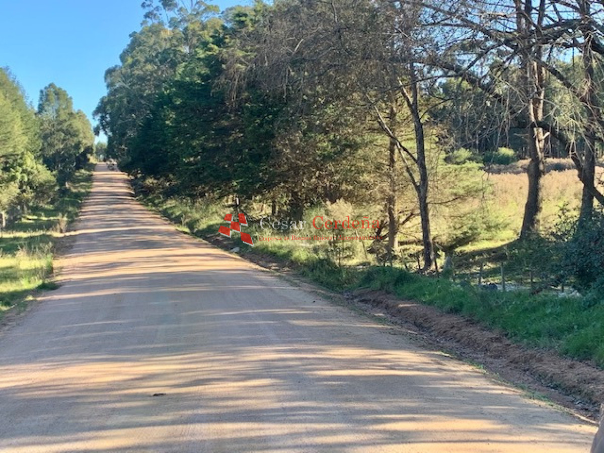 Terreno ID.1207 - VENTA - TERRENO PARA FRACCIONAMIENTO