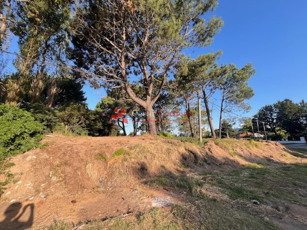 Terreno ID.1961 - VENTA - Terreno en Pinares a metros de la costa