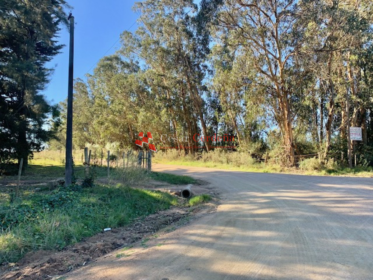 Terreno ID.1207 - VENTA - TERRENO PARA FRACCIONAMIENTO