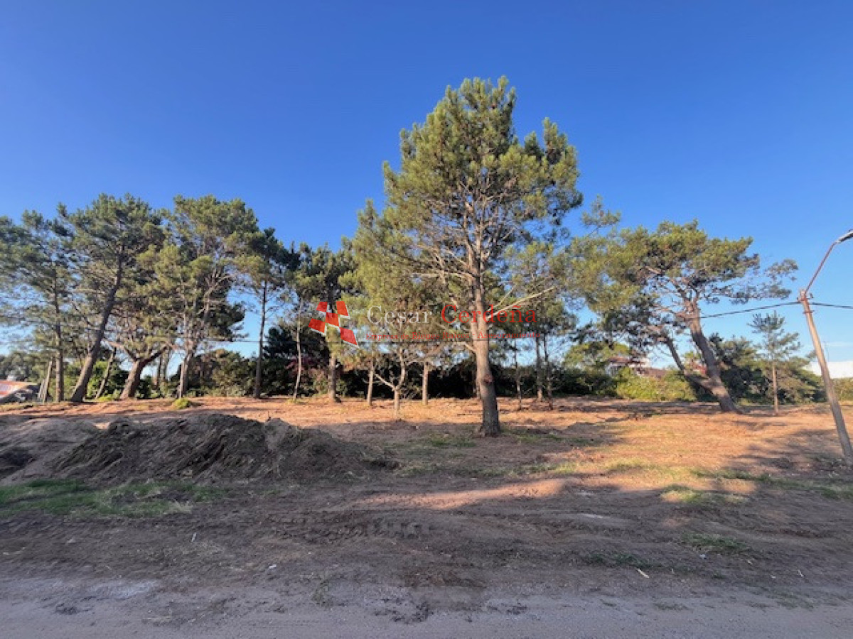 Terreno ID.1961 - VENTA - Terreno en Pinares a metros de la costa