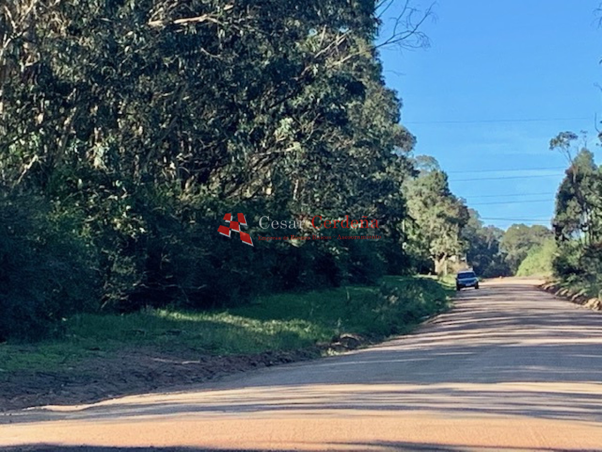 Terreno ID.1207 - VENTA - TERRENO PARA FRACCIONAMIENTO