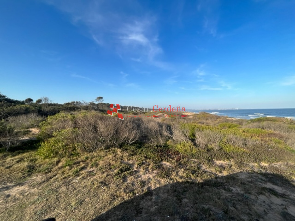 Terreno ID.1659 - EN VENTA  - 5.3 Hectáreas en PRIMERA LINEA AL OCEANO