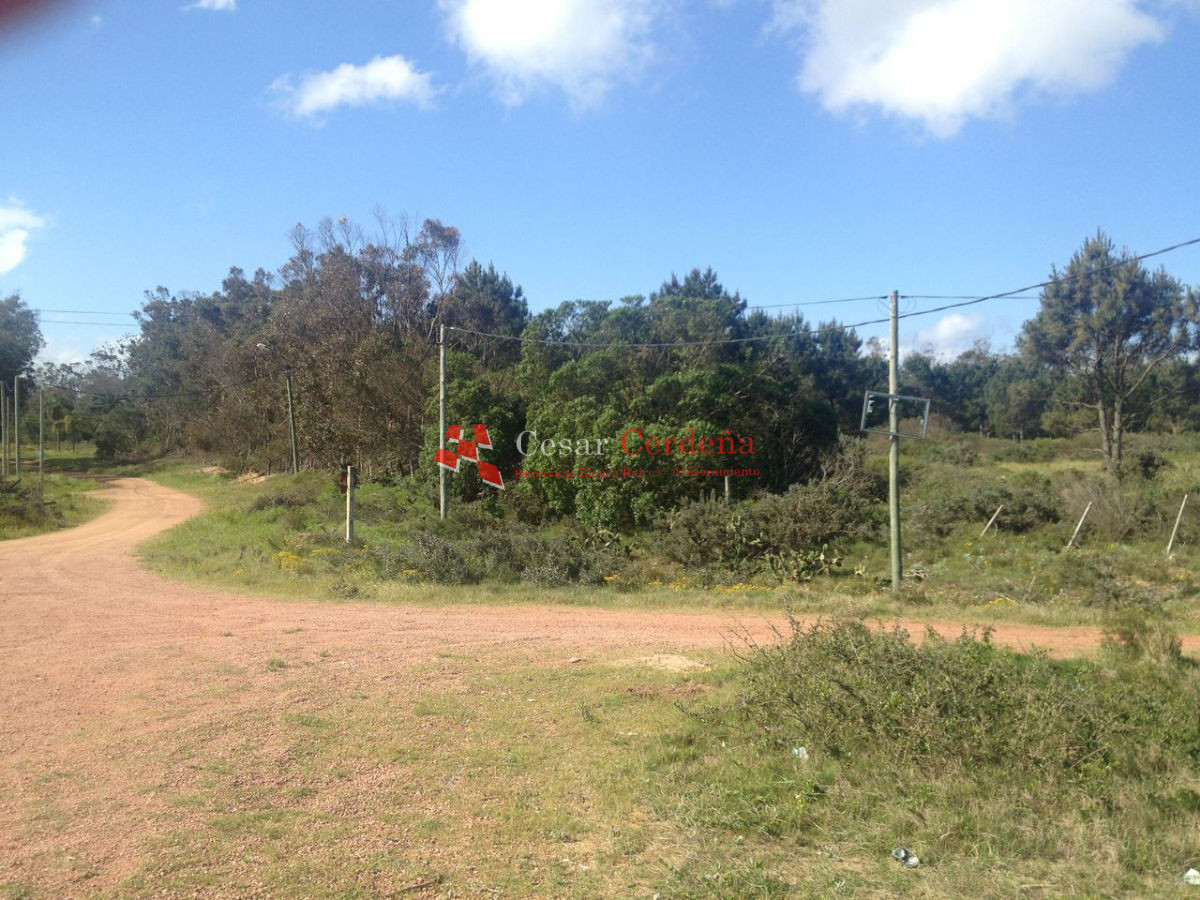 Terreno ID.1187 - VENTA - Terreno ubicado en 1era linea al mar