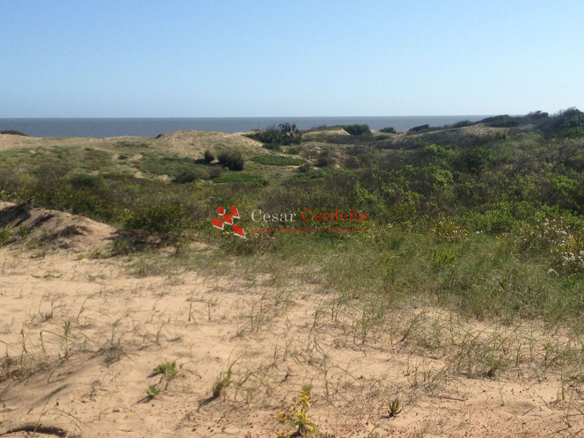 Terreno ID.1188 - VENTA - Terreno ubicado en ultima manzana a metros de la 1era linea al mar