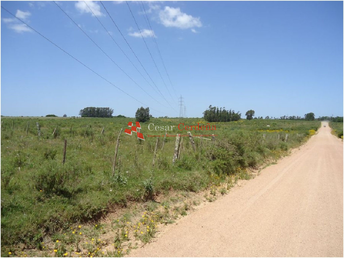 Terreno ID.1207 - VENTA - TERRENO PARA FRACCIONAMIENTO