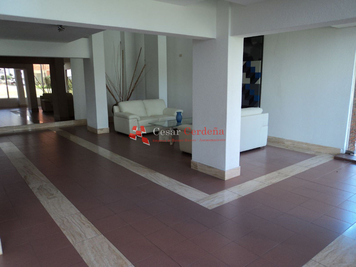 Apartamento ID.145 - Apartamento en Brava, 1 dormitorios *
