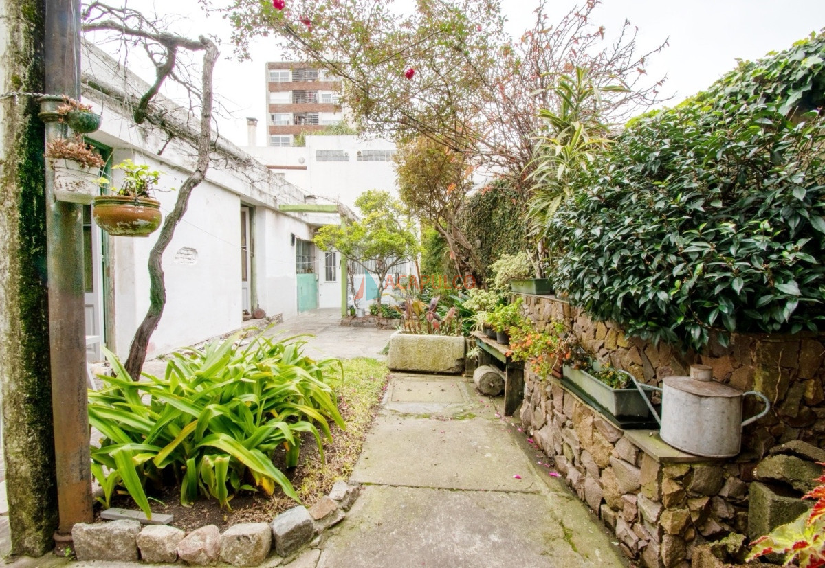 Casa Ref.1014 - Venta casa 3 dormitorios 4 baños, fondo en Pocitos, 2 cocheras 
