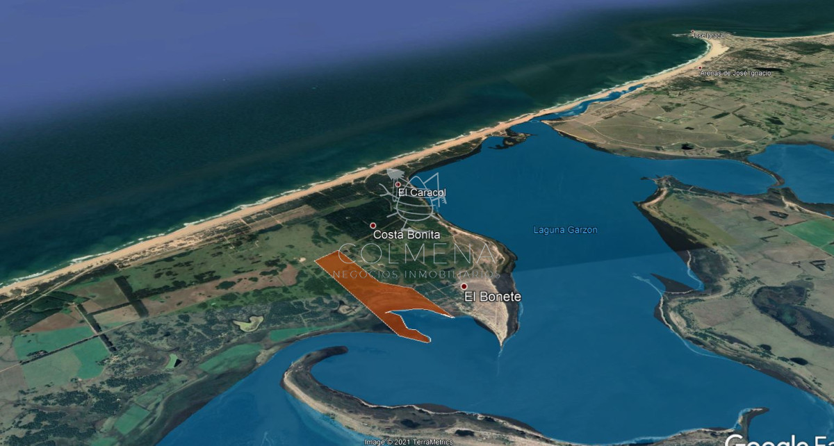 Campo Ref.785 - Venta de campo Estrella de Mar en Rocha