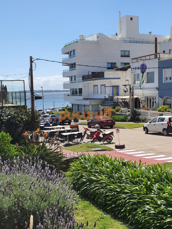 Propiedad - GoPunta - Portal Inmobiliario de Punta del Este - Maldonado
