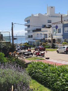 Alquiler Temporario de Apartamento de 1 dormitorio en Península, Punta del Este.