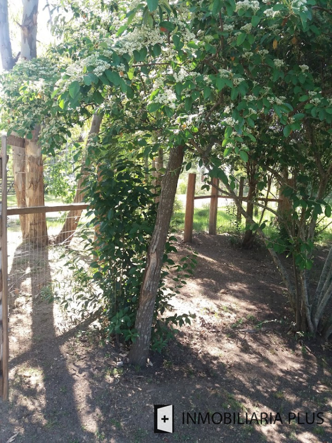 Terreno ID.1226 - Venta de Terreno de 910 mts en el Balneario Solis de Maldonado