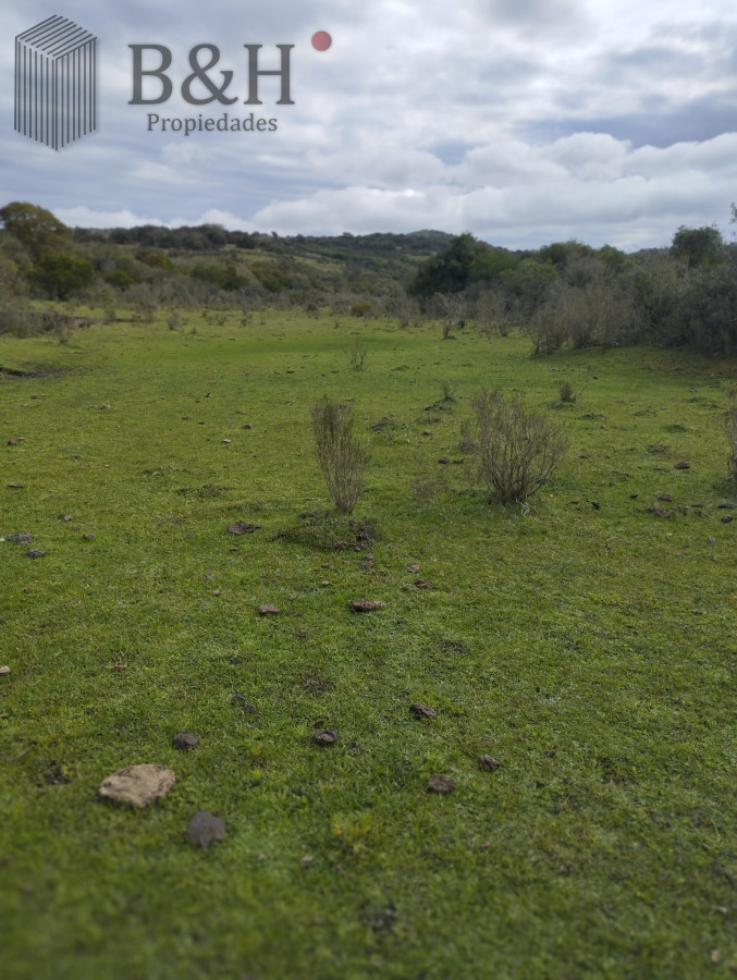 Chacra ID.2993 - Venta Fraccionamiento Messanno 20 unidades en Lavalleja