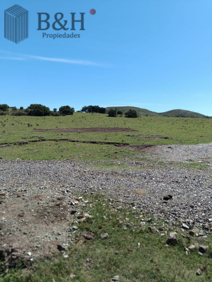 Venta Fraccionamiento Messanno 20 unidades en Lavalleja - GoPunta - Portal Inmobiliario de Punta del Este - Maldonado