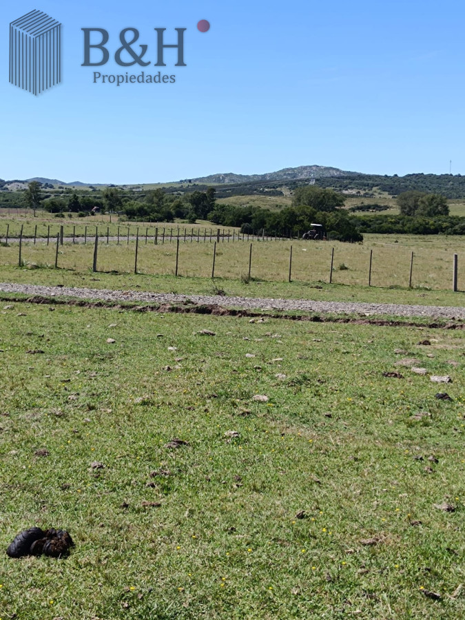 Chacra ID.2993 - Venta Fraccionamiento Messanno 20 unidades en Lavalleja