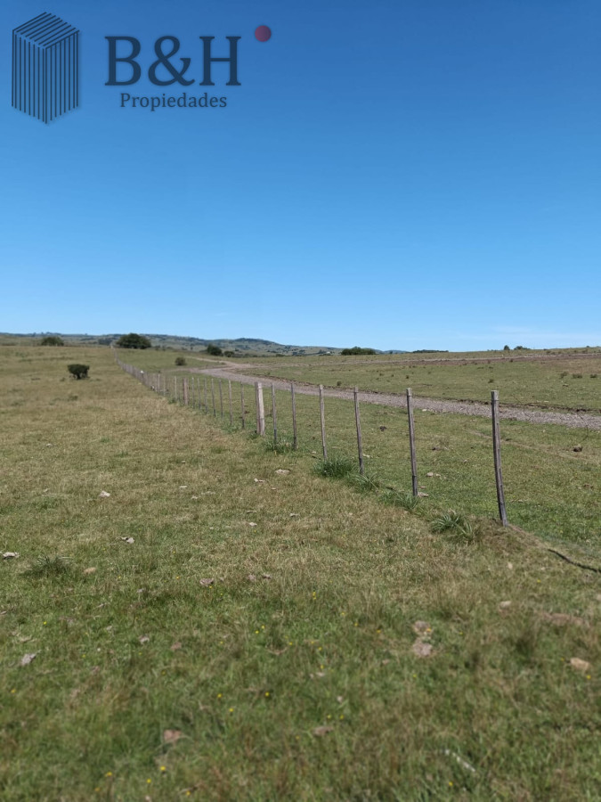 Chacra ID.2993 - Venta Fraccionamiento Messanno 20 unidades en Lavalleja