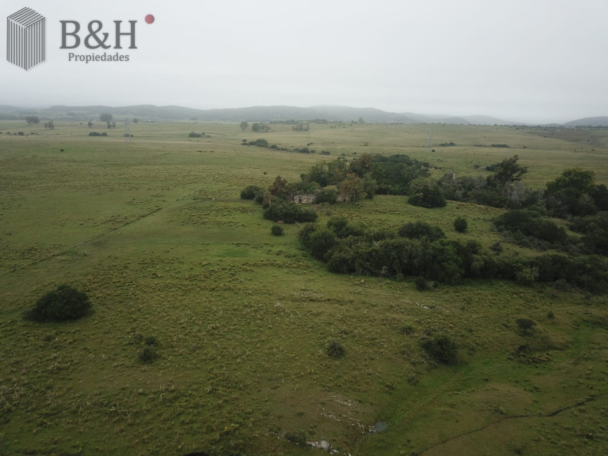 Venta Fraccionamiento Messanno 20 unidades en Lavalleja - GoPunta - Portal Inmobiliario de Punta del Este - Maldonado