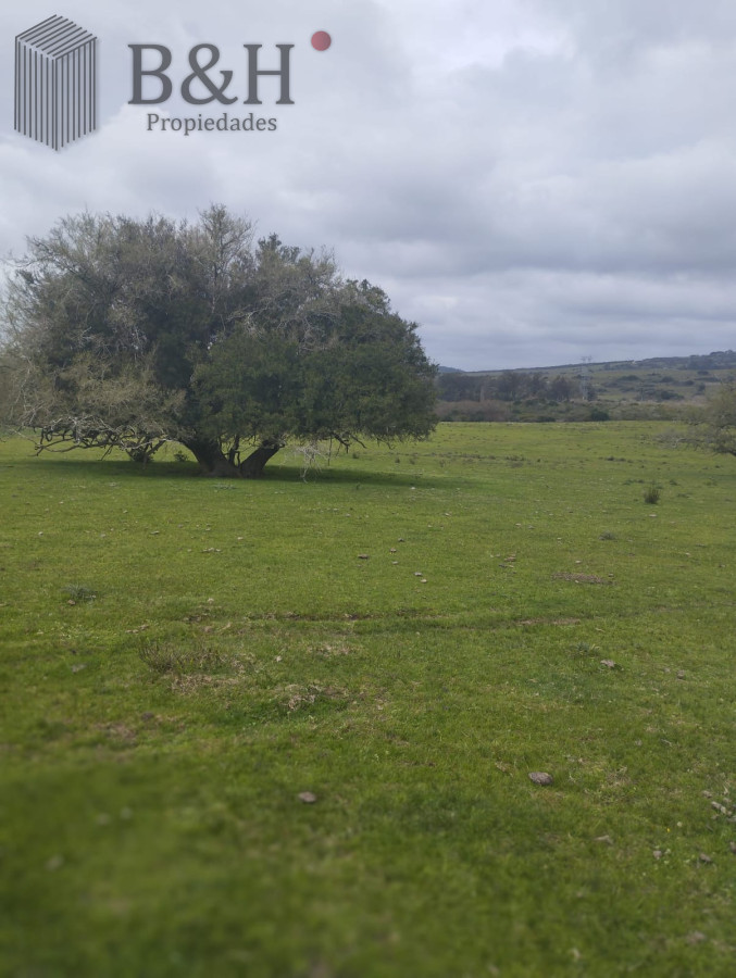 Venta Fraccionamiento Messanno 20 unidades en Lavalleja - GoPunta - Portal Inmobiliario de Punta del Este - Maldonado