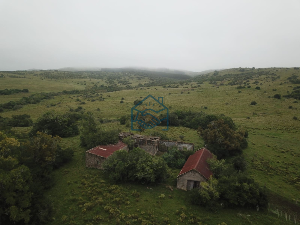 Chacra ID.1190/Venta-Fraccionamiento-Messanno-20-unidades-en-Lavalleja - Venta Fraccionamiento Messanno 20 unidades en Lavalleja