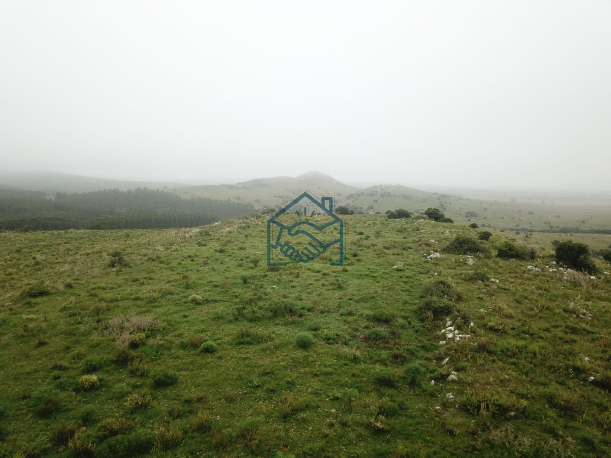 Chacra ID.1190/Venta-Fraccionamiento-Messanno-20-unidades-en-Lavalleja - Venta Fraccionamiento Messanno 20 unidades en Lavalleja