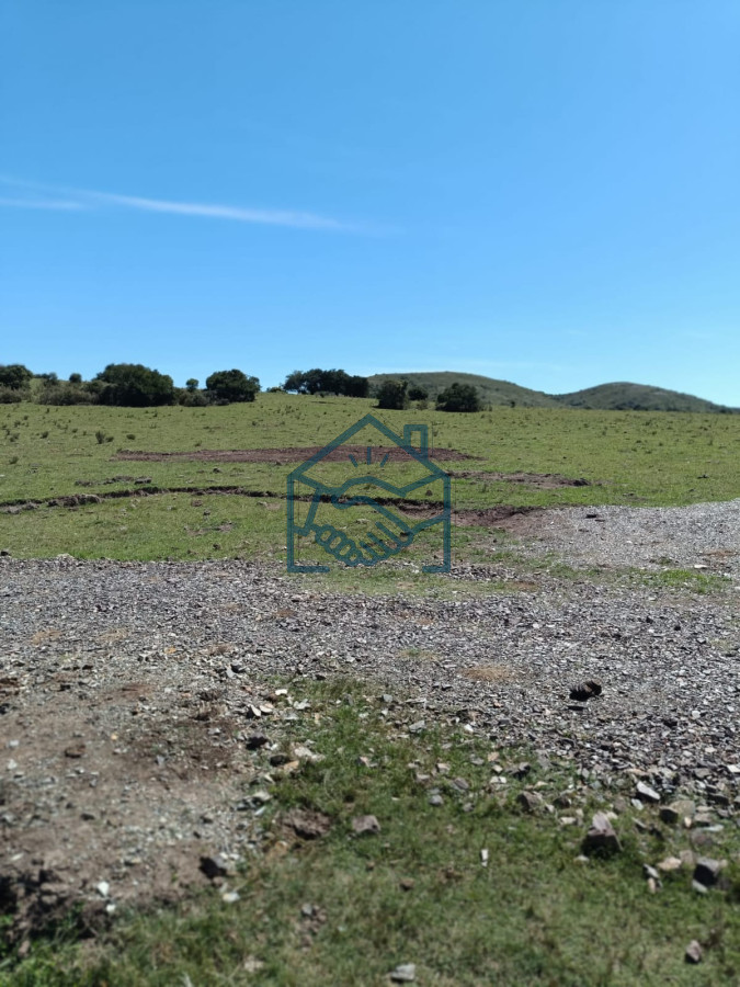 Chacra ID.1190/Venta-Fraccionamiento-Messanno-20-unidades-en-Lavalleja - Venta Fraccionamiento Messanno 20 unidades en Lavalleja