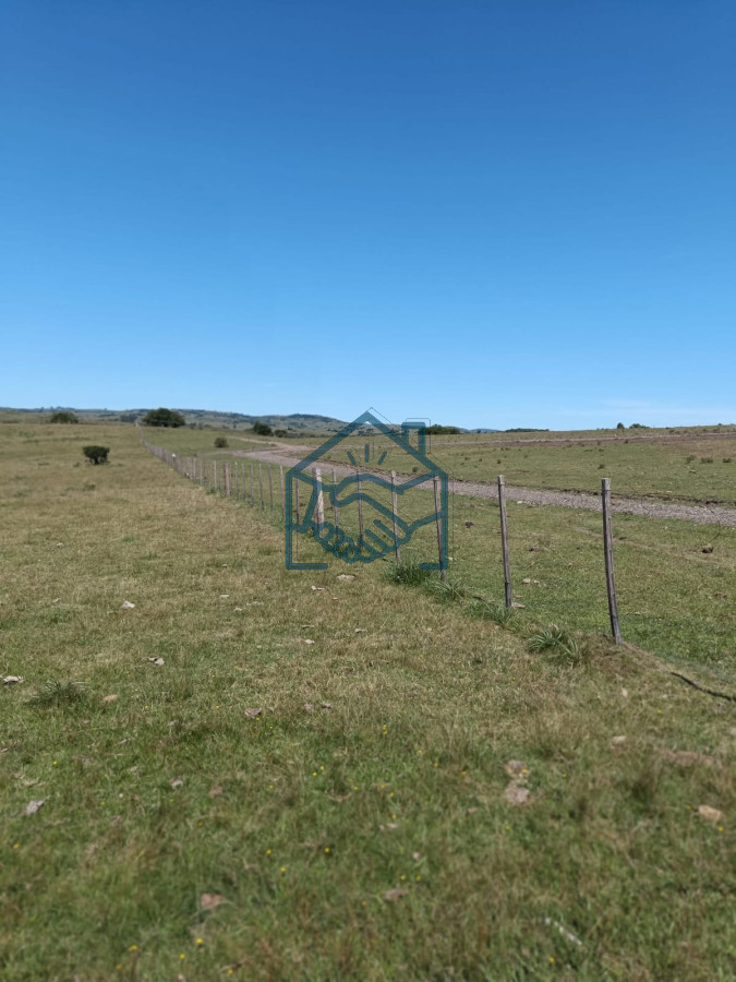 Chacra ID.1190/Venta-Fraccionamiento-Messanno-20-unidades-en-Lavalleja - Venta Fraccionamiento Messanno 20 unidades en Lavalleja