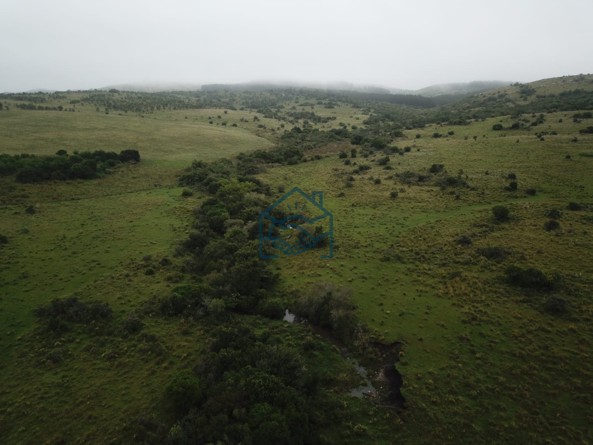 Chacra ID.1190/Venta-Fraccionamiento-Messanno-20-unidades-en-Lavalleja - Venta Fraccionamiento Messanno 20 unidades en Lavalleja