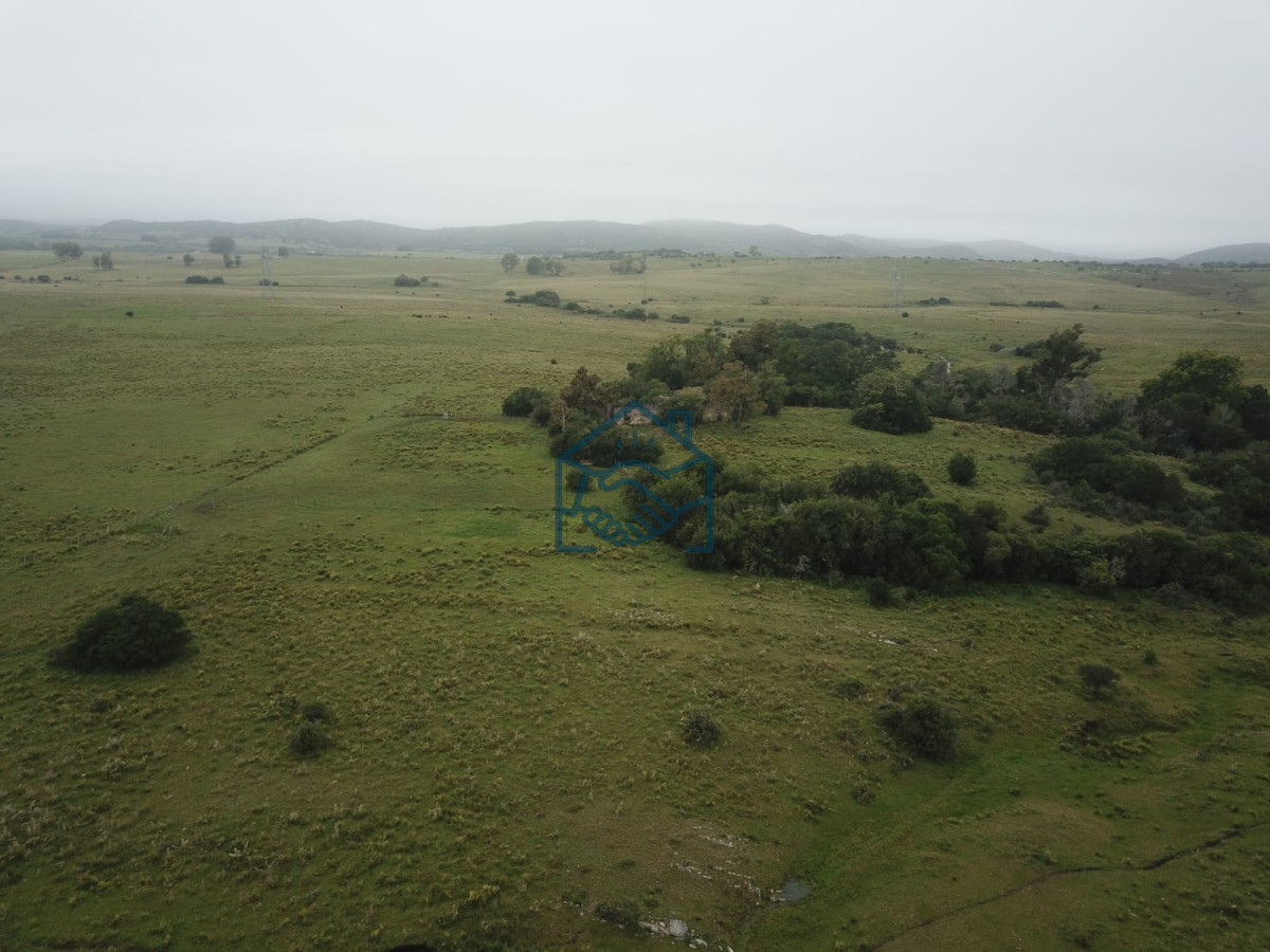 Chacra ID.1190/Venta-Fraccionamiento-Messanno-20-unidades-en-Lavalleja - Venta Fraccionamiento Messanno 20 unidades en Lavalleja