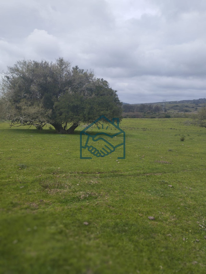 Chacra ID.1190/Venta-Fraccionamiento-Messanno-20-unidades-en-Lavalleja - Venta Fraccionamiento Messanno 20 unidades en Lavalleja