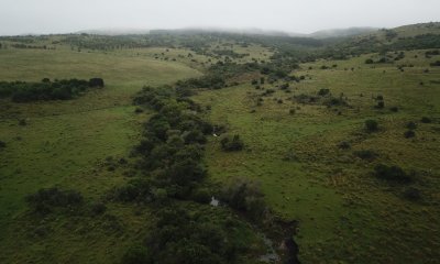 Venta Fraccionamiento Messanno 20 unidades en Lavalleja