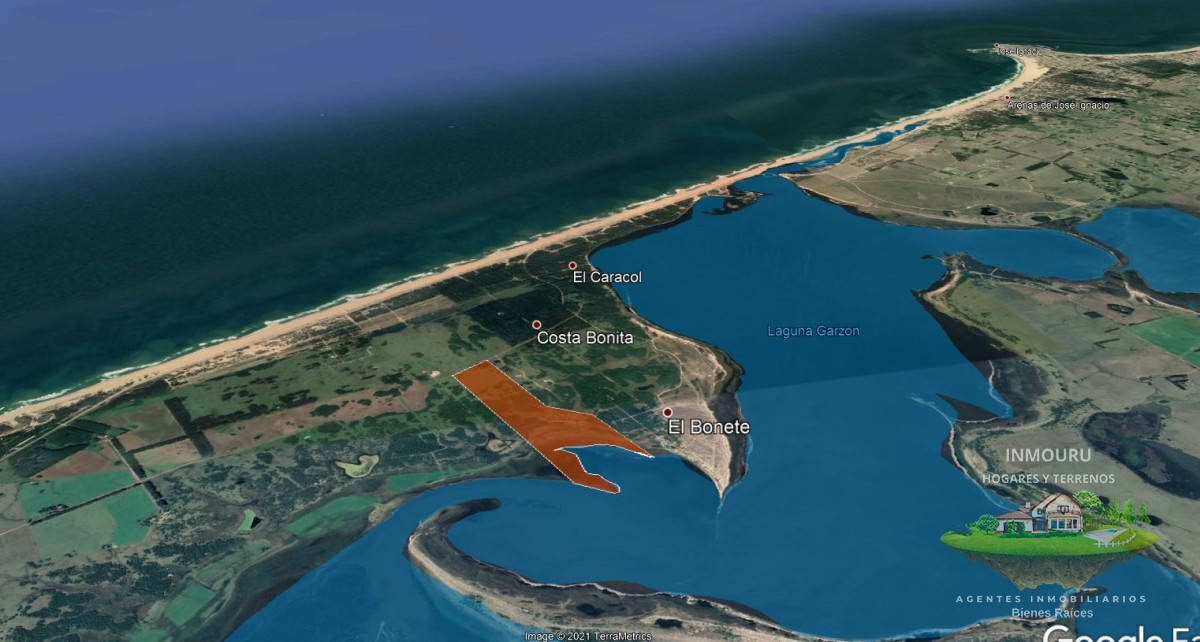 Campo Ref.785 - Venta de campo Estrella de Mar en Rocha