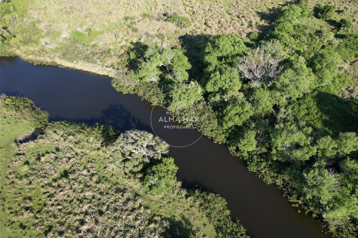 Chacra ID.1172 - CAMPO EN VENTA EN SAN CARLOS