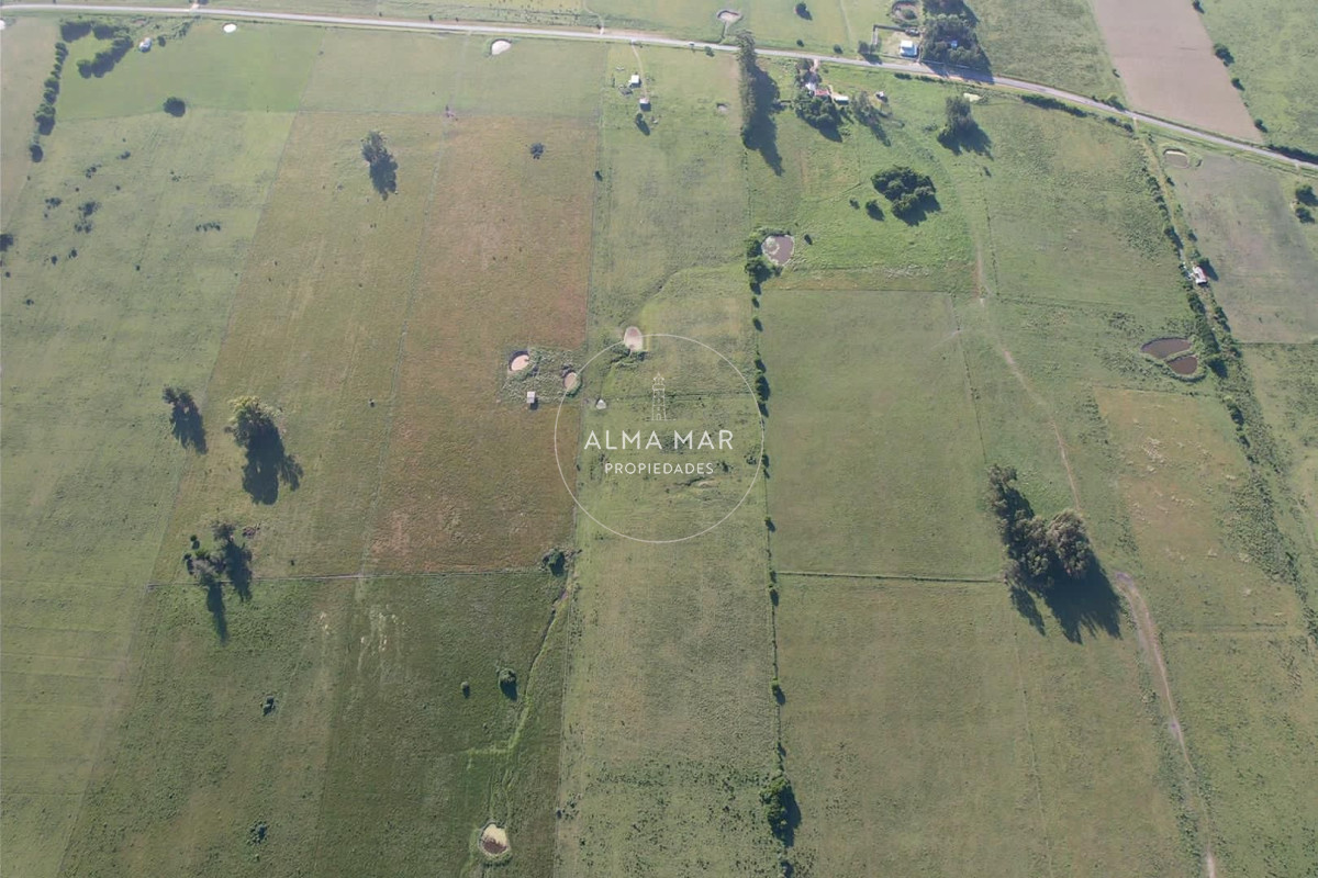 Chacra ID.1172 - CAMPO EN VENTA EN SAN CARLOS