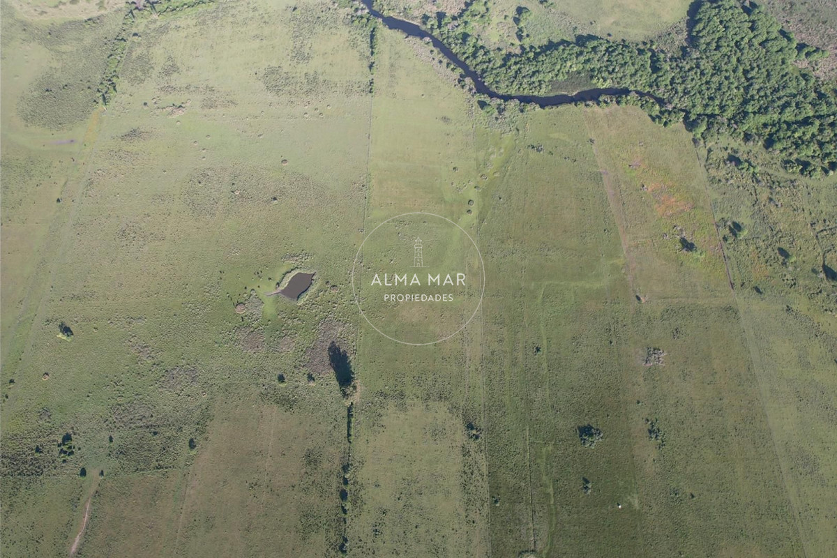 Chacra ID.1172 - CAMPO EN VENTA EN SAN CARLOS