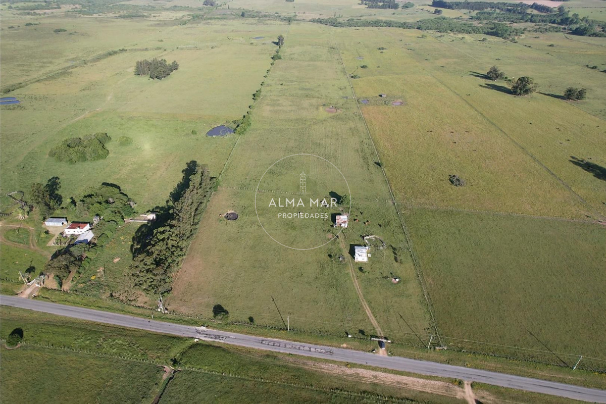 Chacra ID.1172 - CAMPO EN VENTA EN SAN CARLOS
