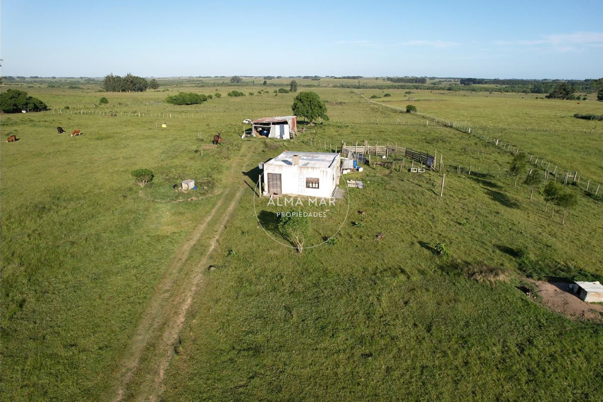 Chacra ID.1172 - CAMPO EN VENTA EN SAN CARLOS