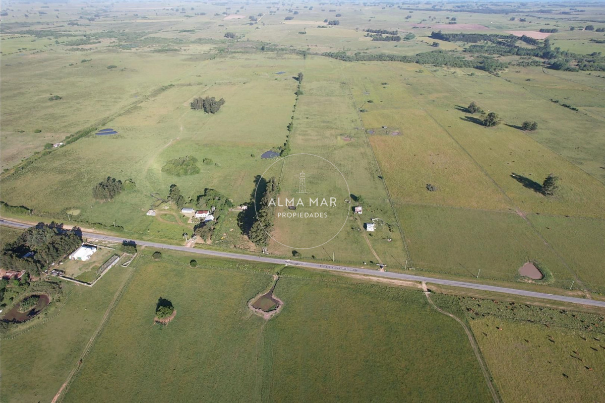 Chacra ID.1172 - CAMPO EN VENTA EN SAN CARLOS