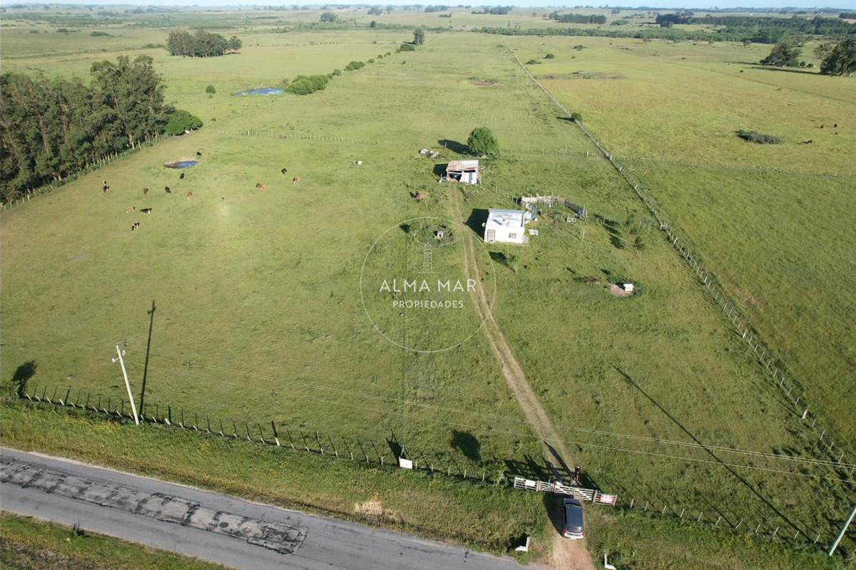 Chacra ID.1172 - CAMPO EN VENTA EN SAN CARLOS