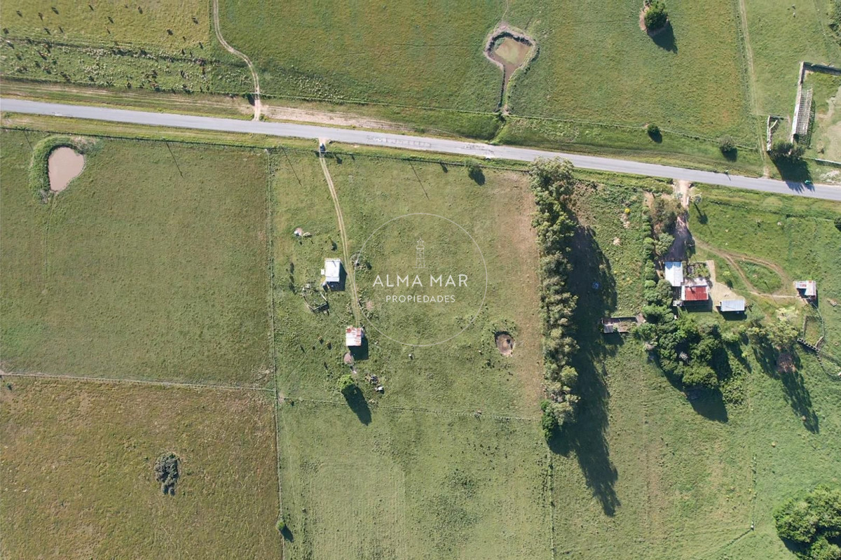 Chacra ID.1172 - CAMPO EN VENTA EN SAN CARLOS