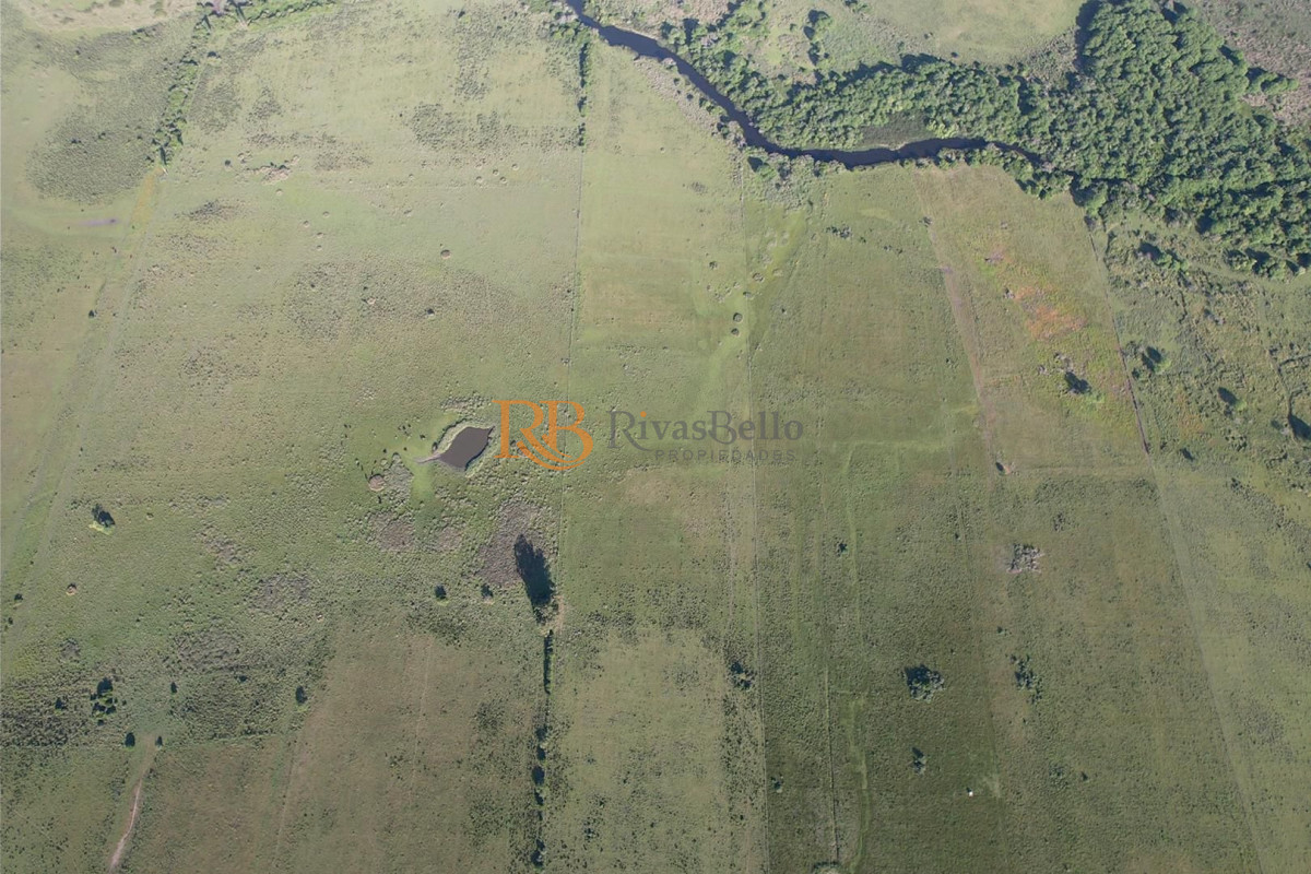 Chacra ID.88 - CAMPO EN VENTA EN SAN CARLOS