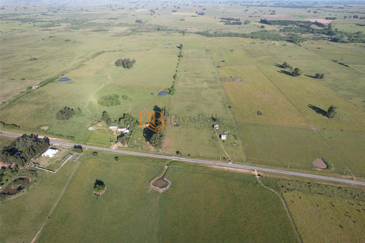 Chacra ID.88 - CAMPO EN VENTA EN SAN CARLOS
