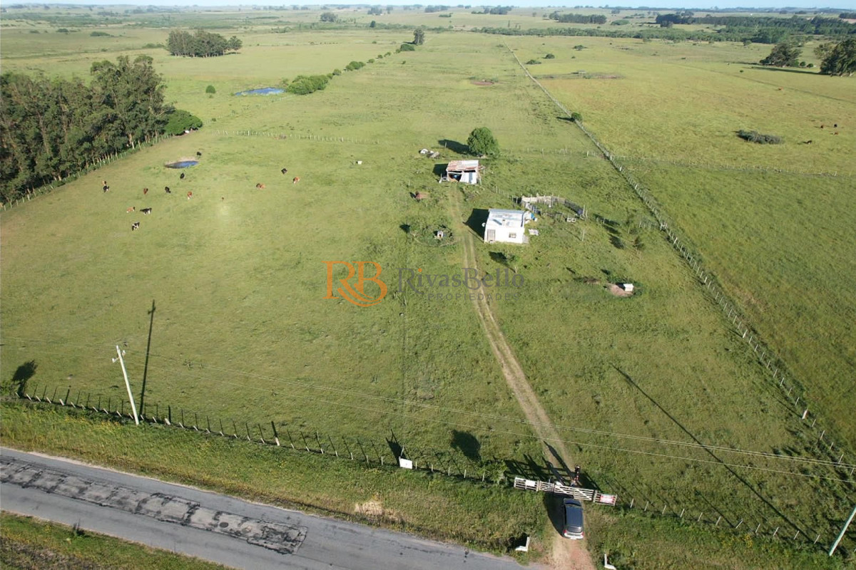 Chacra ID.88 - CAMPO EN VENTA EN SAN CARLOS