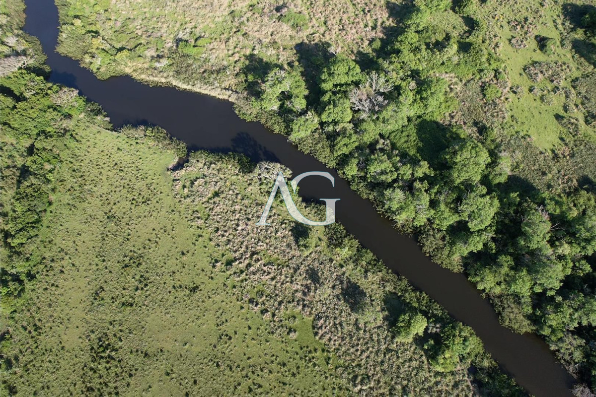 Chacra ID.296 - CAMPO EN VENTA EN SAN CARLOS