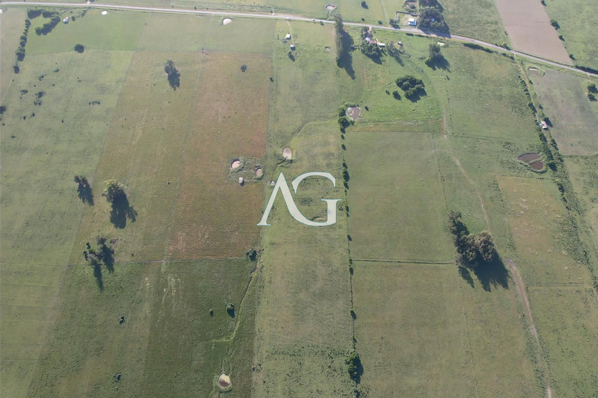 Chacra ID.296 - CAMPO EN VENTA EN SAN CARLOS